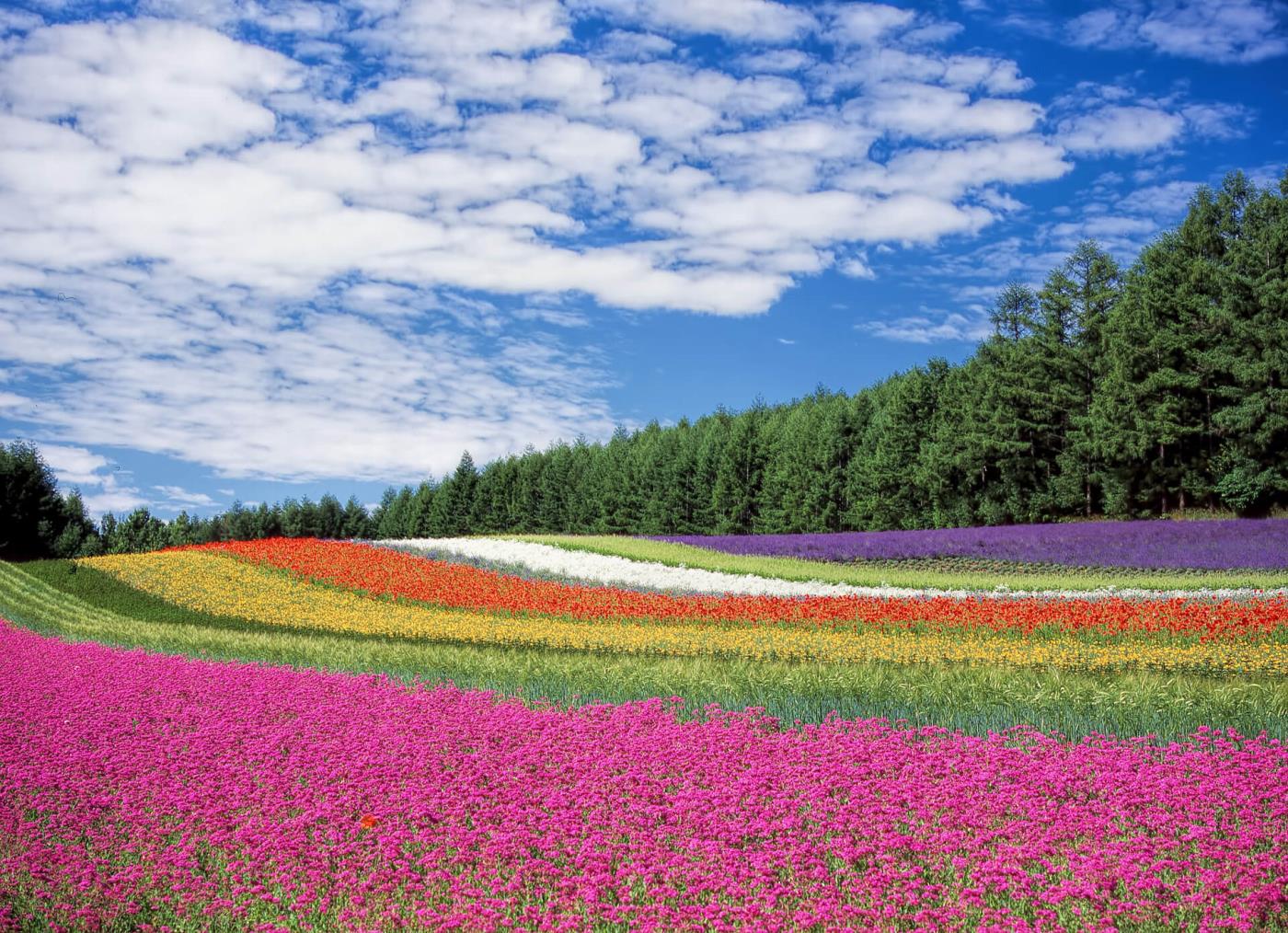 45 magnifiques fonds d'écran de paysages haute résolution