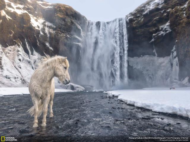 Téléchargez maintenant un ensemble unique de fonds d'écran sur des scènes de vie fournis par la chaîne de télévision National Geographic