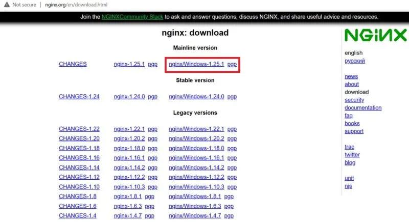 Windows에서 Nginx 서버를 설치하고 실행하는 방법