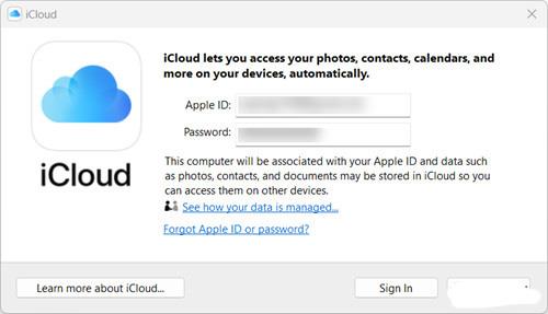 Come accedere e scaricare le foto di iCloud tramite l'applicazione Foto predefinita su Windows 11