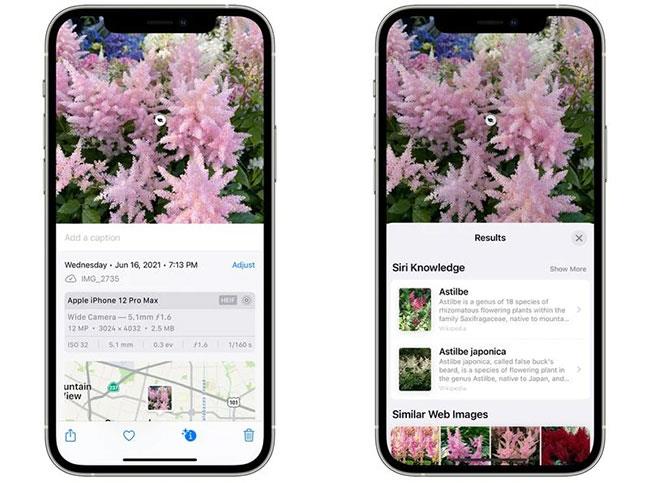 Nouvelles fonctionnalités de l'application Photos sur iOS 15