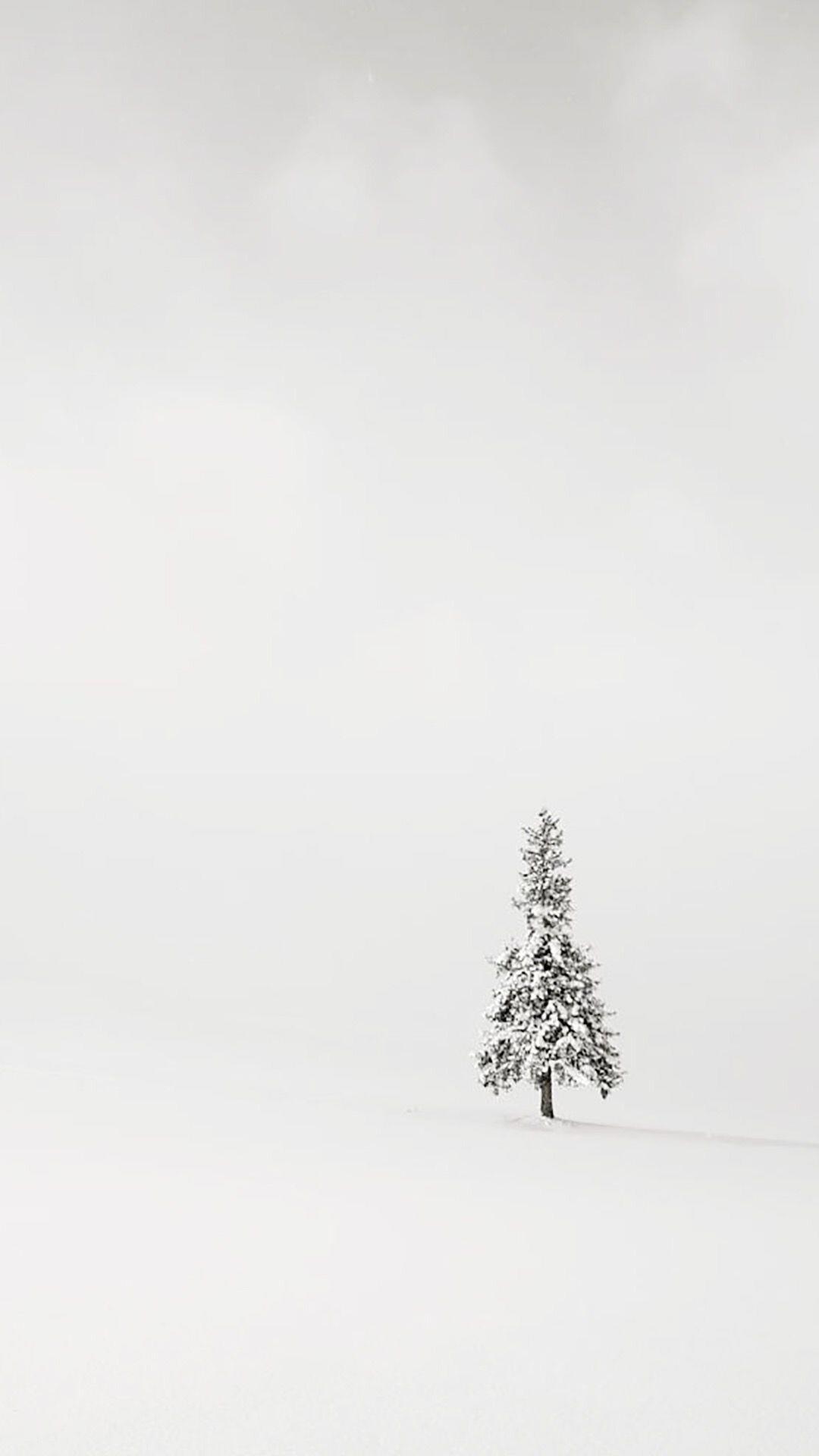 Fonds d'écran blancs, belles photos sur fond blanc