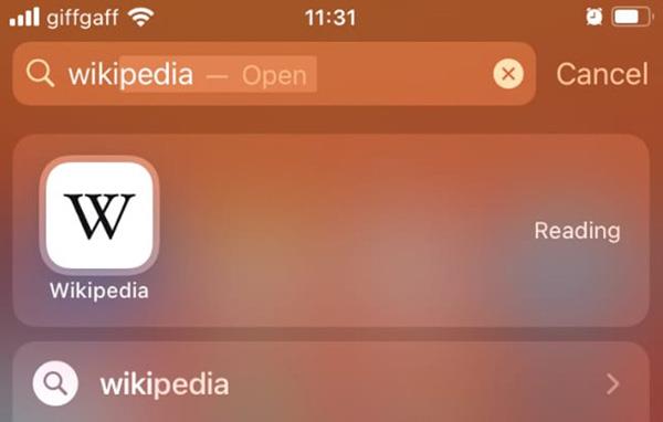 Come utilizzare la Libreria app su iOS 14