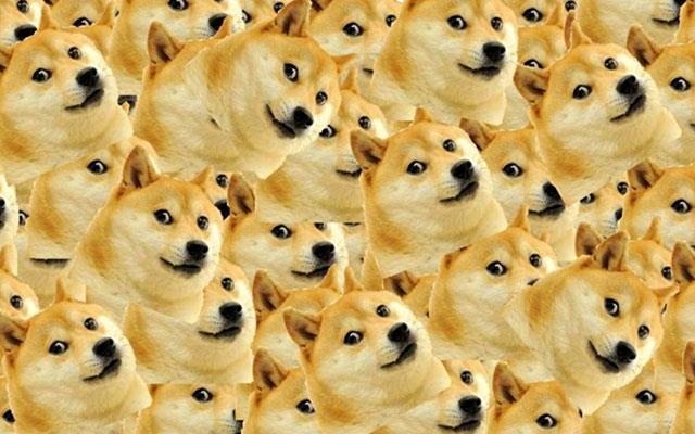 Fond d'écran Doge Windows, mème Doge Windows 11, fond d'écran Doge