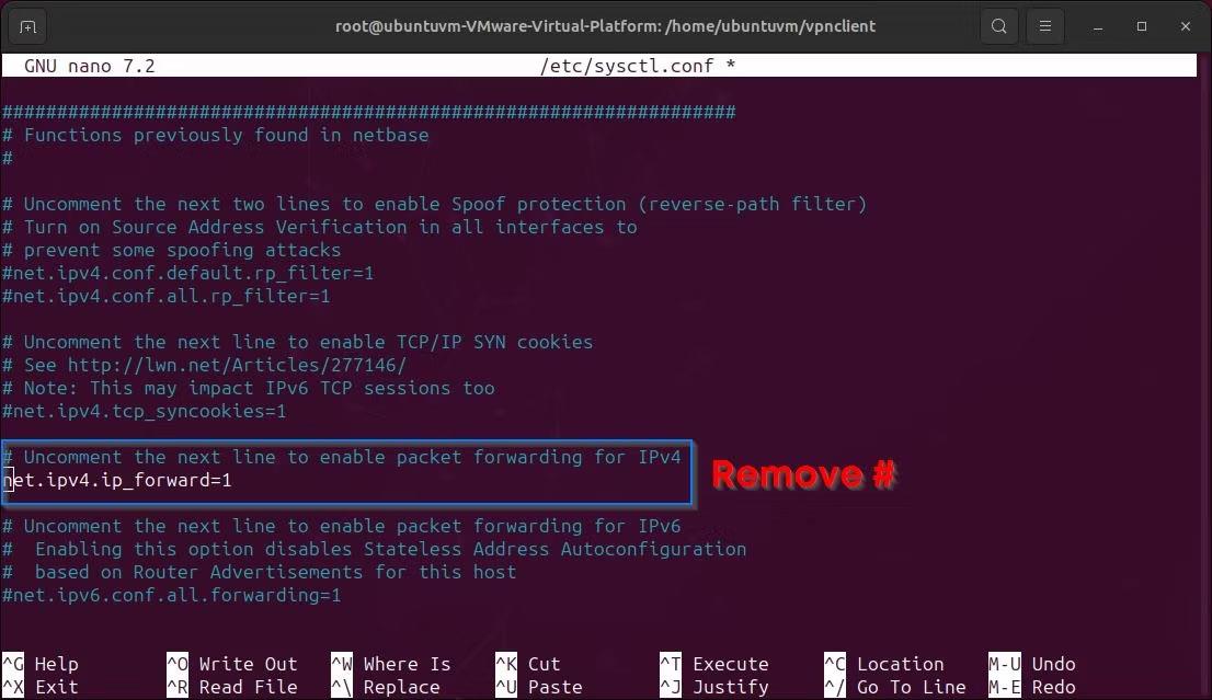 Comment configurer SoftEther VPN via le client HTTPS sous Windows et Linux