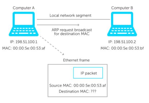 Quelle est l’adresse MAC ? Comment cela fonctionne-t-il en tandem avec les adresses IP ?