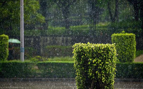 為那些悲傷的人提供全高清雨壁紙