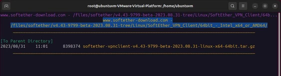 Comment configurer SoftEther VPN via le client HTTPS sous Windows et Linux