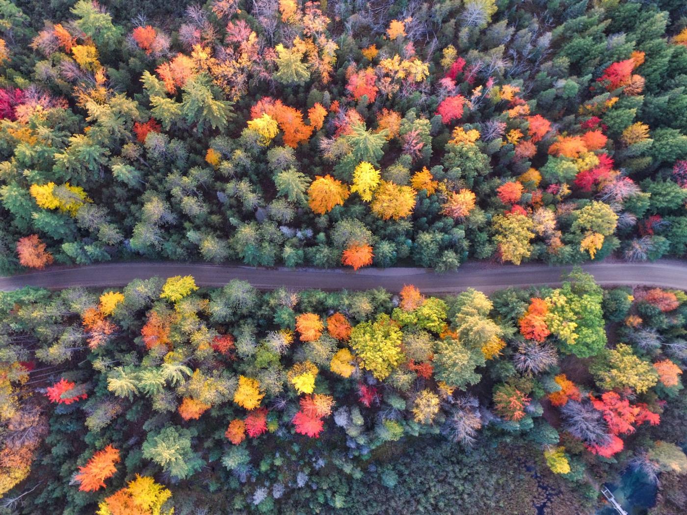 Collection de fonds d'écran d'automne pour ordinateurs et ordinateurs portables en 2024