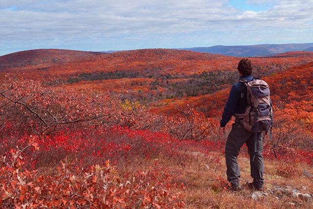 Rucksack-Hintergrundbilder, wunderschöne Rucksack-Hintergrundbilder für Computer