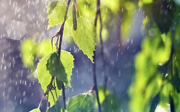 Full-HD-Regen-Hintergrundbild für diejenigen unter Ihnen, die traurig sind