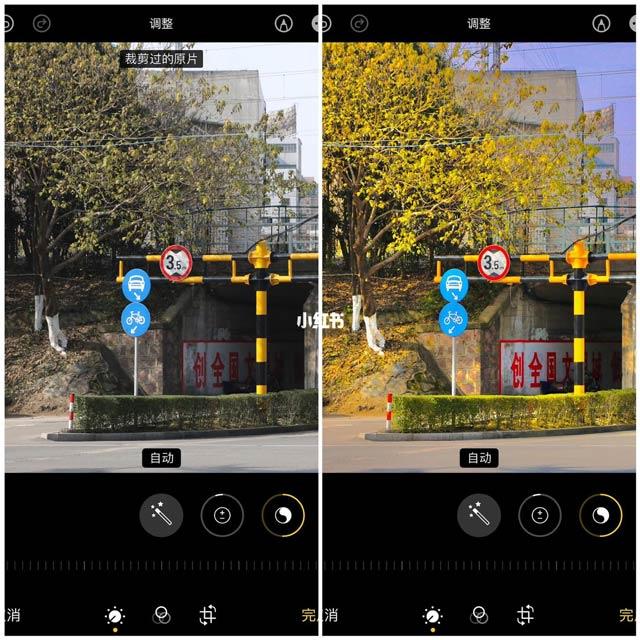 iPhone での超クールな写真編集方式