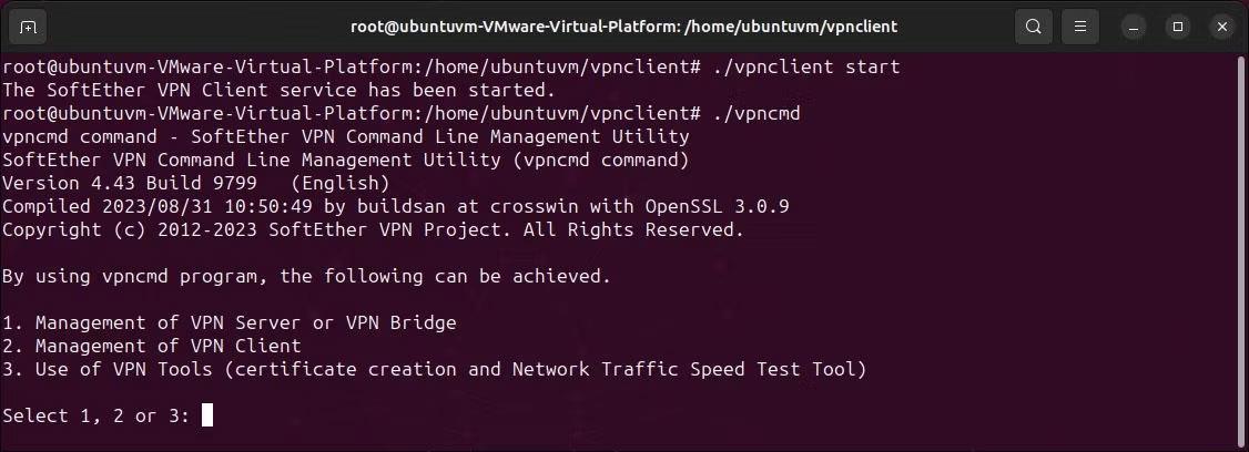 Comment configurer SoftEther VPN via le client HTTPS sous Windows et Linux