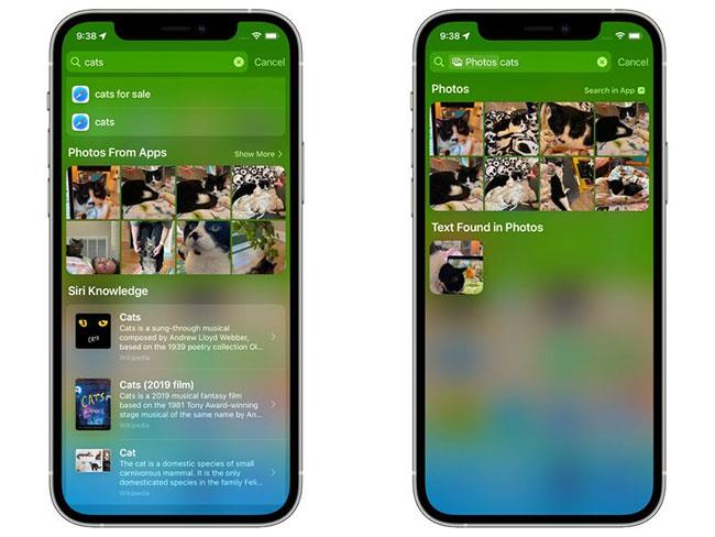 Nuove funzionalità nell'app Foto su iOS 15