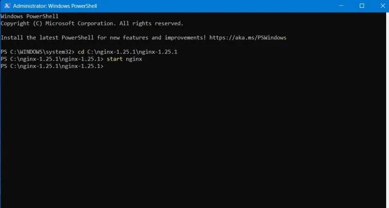 Come installare ed eseguire Nginx Server su Windows