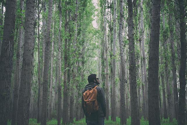 Rucksack-Hintergrundbilder, wunderschöne Rucksack-Hintergrundbilder für Computer