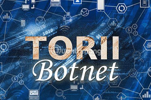 L'essor des botnets IoT et comment protéger les appareils intelligents