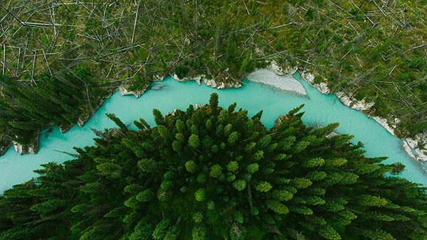 Ensemble d'images de fond d'écran de haute qualité avec des thèmes généraux pour ordinateurs