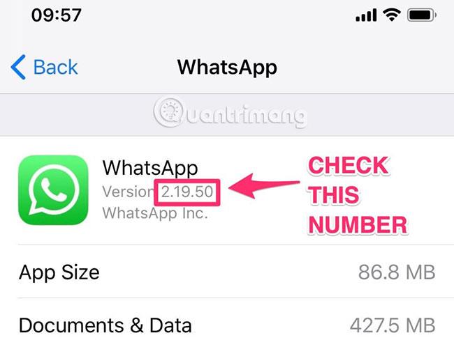 Come aggiornare WhatsApp su iPhone, Android