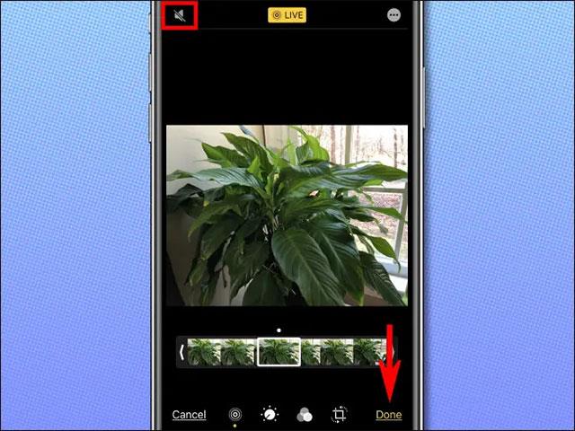 Comment séparer l'audio des Live Photos sur iPhone