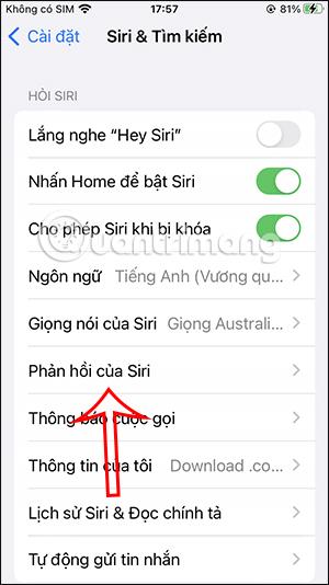 如何更改 iPhone 上的 Siri 回應類型