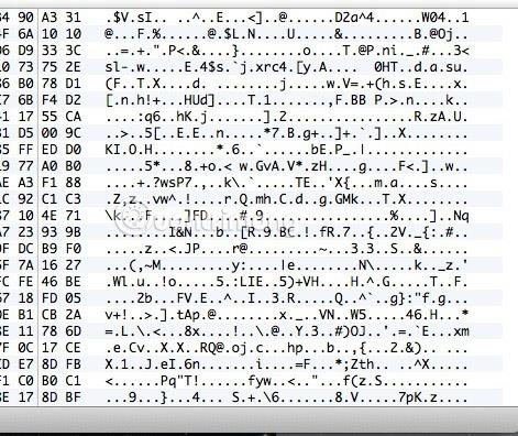 VPN 接続が実際に暗号化されているかどうかを確認する方法