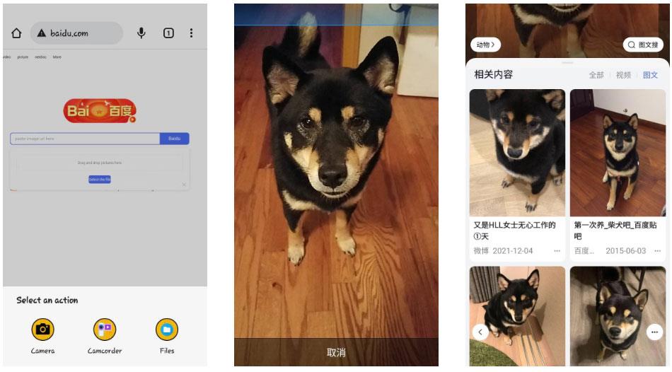 10 meilleures applications de recherche d'images inversées pour iPhone et Android