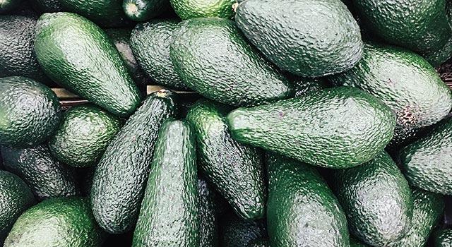 Sfondi di avocado, sfondi di avocado, foto di avocado per telefoni