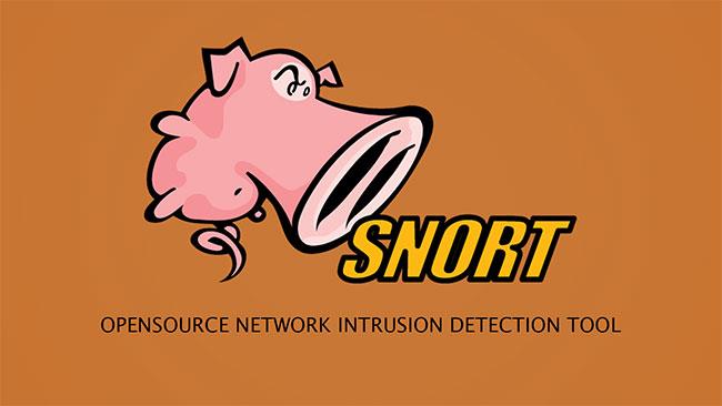 Top 5 des logiciels gratuits de détection d'intrusion (IDS) et de prévention d'intrusion (IPS)