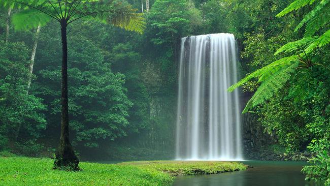 Set di bellissimi sfondi naturali di qualità 4K per computer