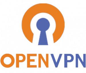 OpenVPN이란 무엇입니까? 어떤 OpenVPN 클라이언트가 가장 좋나요?