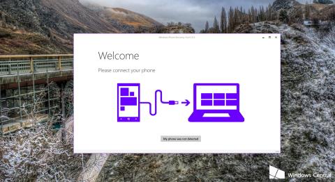 Instructions pour rétrograder Windows 10 Mobile vers Windows Phone 8.1