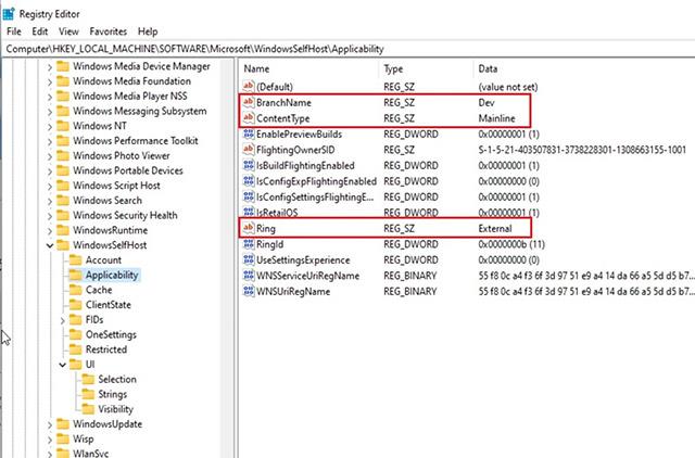 Comment télécharger les versions de développement de Windows 11 au cas où votre PC ne répondrait pas à la configuration matérielle minimale requise