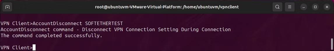 Comment configurer SoftEther VPN via le client HTTPS sous Windows et Linux