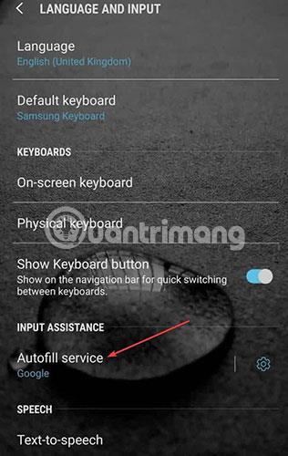 Comment remplir automatiquement les mots de passe sur Android