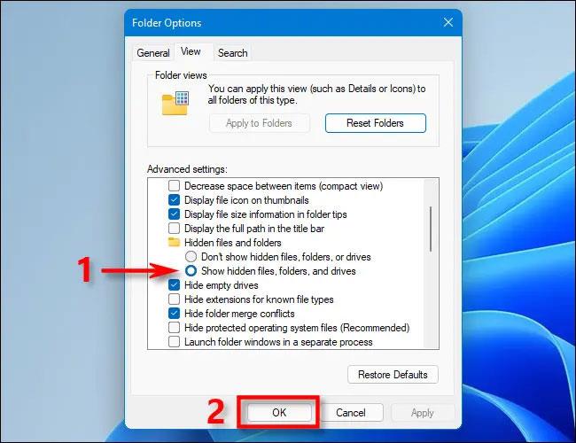 Comment afficher les fichiers protégés du système d'exploitation dans Windows 11