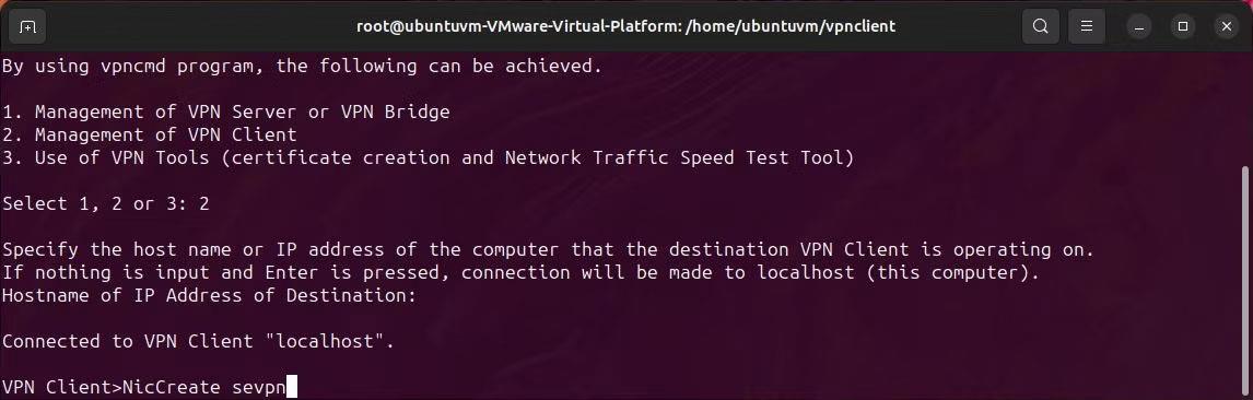 Windows および Linux で HTTPS クライアント経由で SoftEther VPN をセットアップする方法