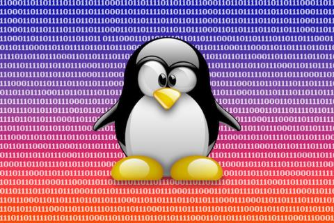 Несколько простых приемов для увеличения места на жестком диске в Linux