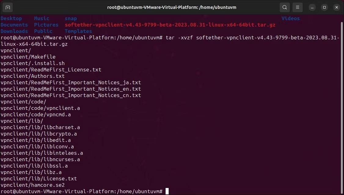 Comment configurer SoftEther VPN via le client HTTPS sous Windows et Linux