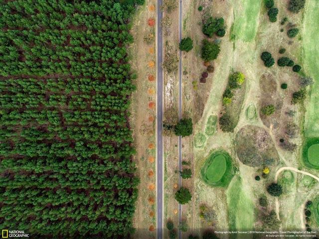 Scarica ora un set unico di sfondi sulle scene di vita forniti dal canale televisivo National Geographic