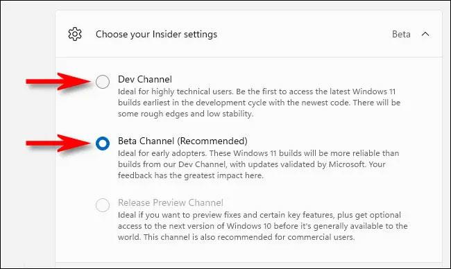 So wechseln Sie unter Windows 11 zwischen Dev Channel und Beta Channel