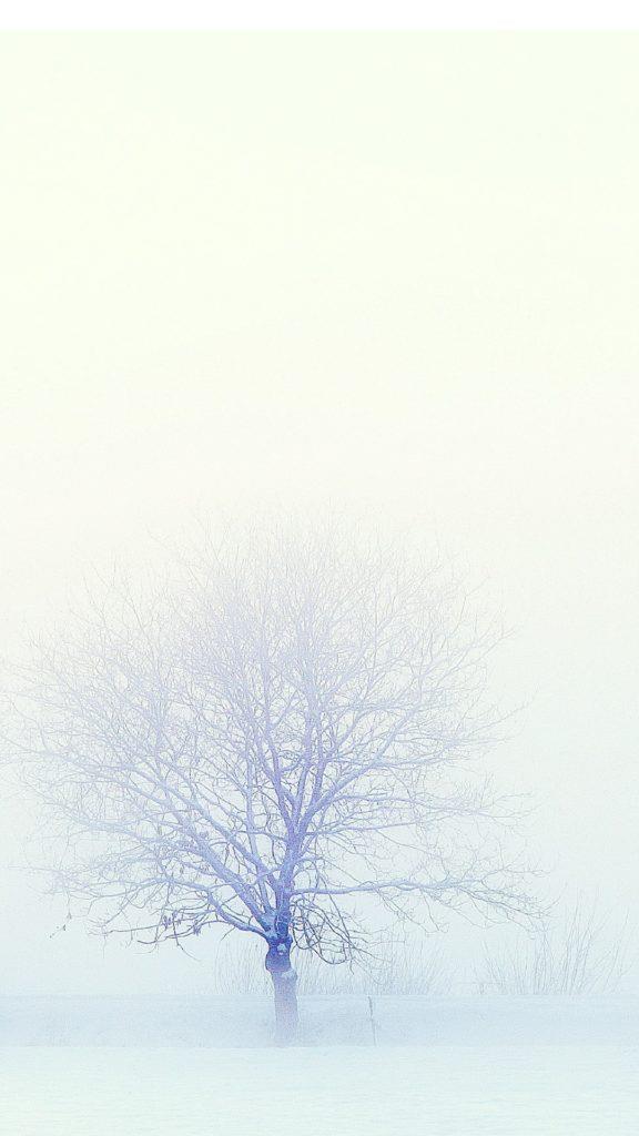 Fonds d'écran blancs, belles photos sur fond blanc