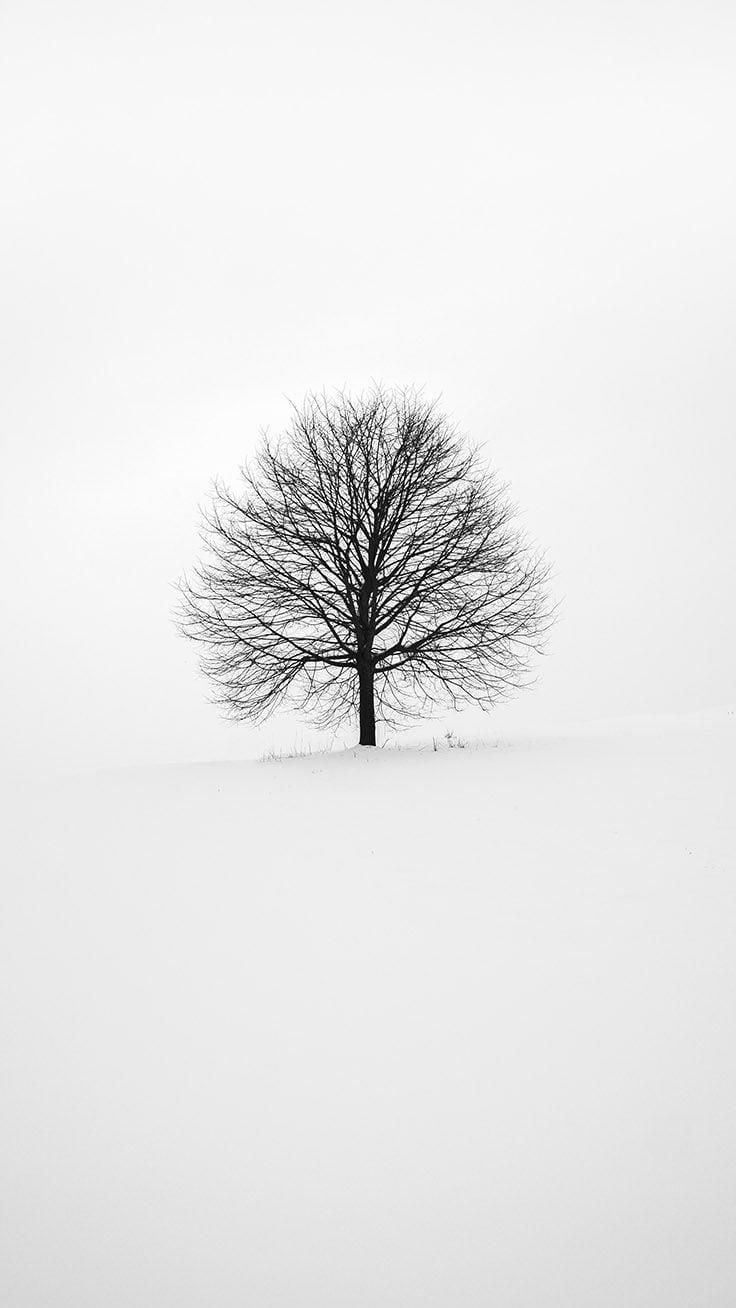 Sfondi bianchi, bellissime foto con sfondo bianco