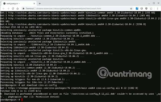 So führen Sie Ubuntu-Container in Chrome OS aus