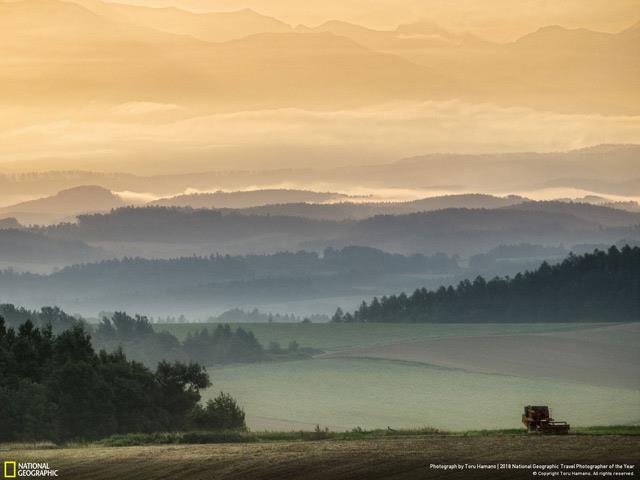 Laden Sie jetzt eine einzigartige Reihe von Hintergrundbildern über Lebensszenen herunter, die vom Fernsehsender National Geographic bereitgestellt werden