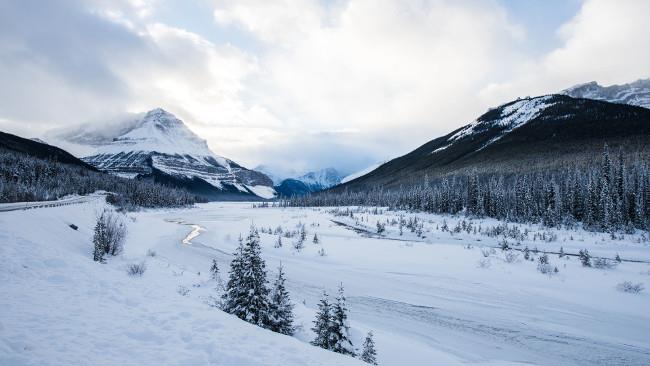 Set di bellissimi sfondi naturali di qualità 4K per computer