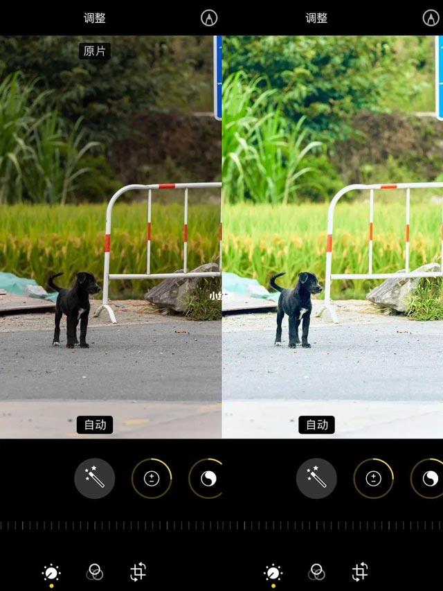 iPhone での超クールな写真編集方式