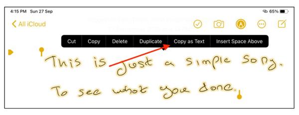 Come copiare e incollare note scritte a mano su iPad