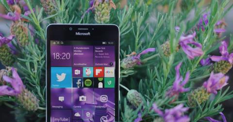 Sai quali browser supportano le estensioni su Windows 10 Mobile?