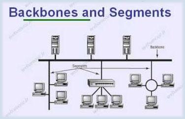 Différence entre le segment et le backbone dans le réseau